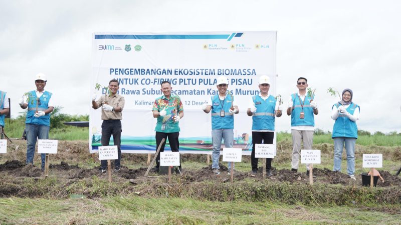 Giliran Kalimantan Kembangkan Ekosistem untuk  Co-Firing Bersama PLN Group