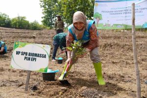 Anita Puspita Sari, Kartini Biomassa yang Mengalirkan Semangat Baru di Sektor Energi