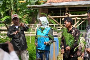 PLN EPI dan IPB Bangun Ekosistem Biomassa untuk Transisi Energi di Cilacap