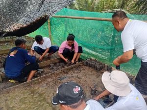 PLN EPI Bangkitkan Ekonomi Hijau Pesisir Cilacap Lewat Ekowisata Mangrove Bunton