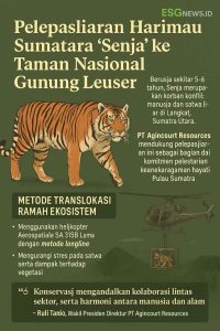 PT Agincourt Resources Dukung Pelepasliaran Harimau Sumatra “Senja” ke Taman Nasional Gunung Leuser