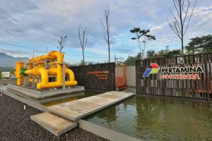 PGN Dorong Kemandirian Energi dan Ekonomi Desa lewat Suadesa Festival 2025