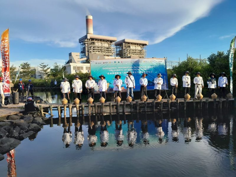 Konservasi Mangrove di PLTU Jawa 7 Jadi Simbol Diplomasi Hijau Indonesia-Tiongkok