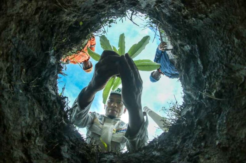 PLN Turunkan ESG Risk Rating 2025, Komitmen Keberlanjutan Semakin Kuat