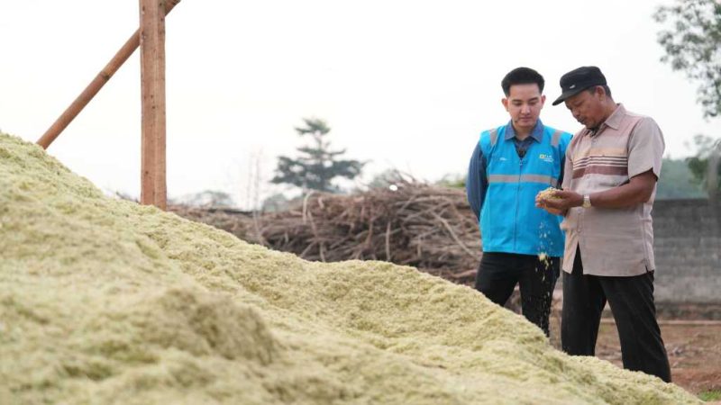 PLN EPI dan PLN NP Gandeng Pemkab Gunung Mas Bangun Ekosistem Biomassa Berkelanjutan di Kalteng